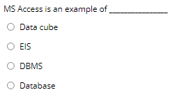 MS Access is an example of O Data cube EIS DBMS