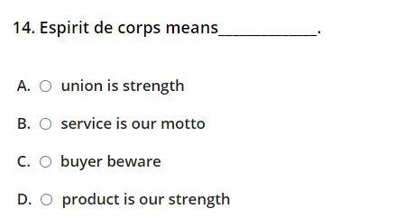 14. Espirit de corps means A. O union is strength