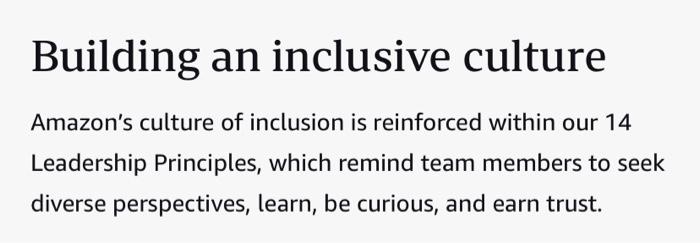 read the diversity at amazon case below !!