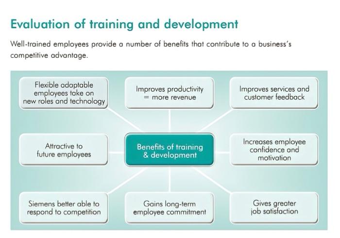 Read the article and answer the questions in the