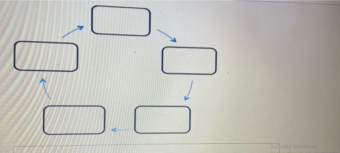 7) Fill in the blank boxes for the guidelines for