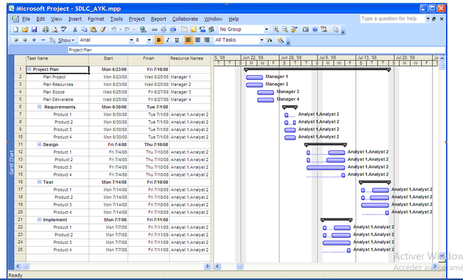1) Review the plan, SDLC_AYK.doc, and highlight