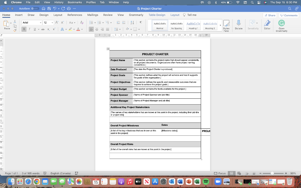 Your project for this assignment and all future