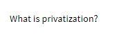 What is privatization
