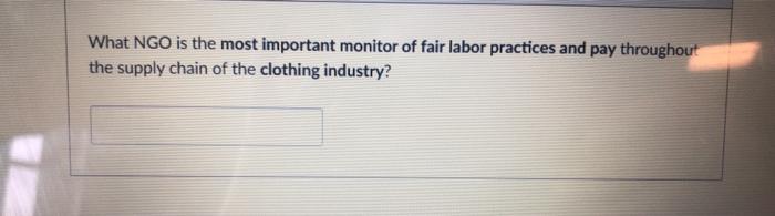 What NGO is the most important monitor of fair