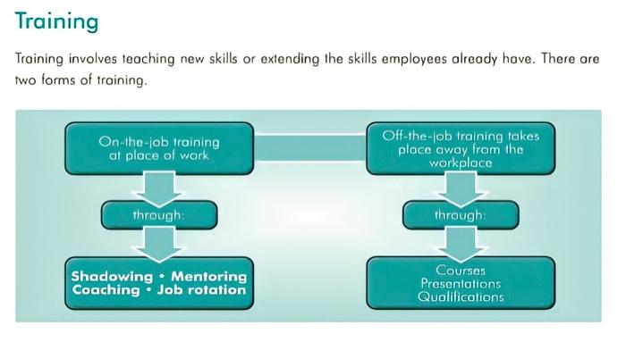 Read the article and answer the questions in the