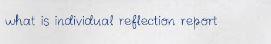 what is individual reflection report