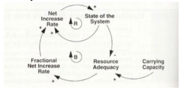 Based on the proposal, please elaborate a causal