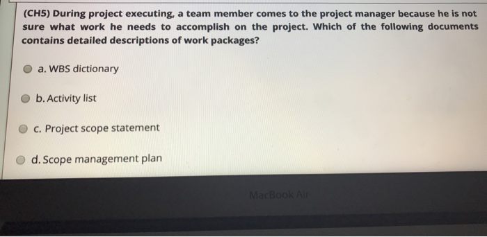 (CH5) During project executing, a team member
