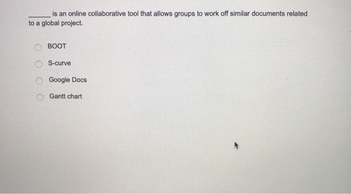 Which of the following allows a project manager