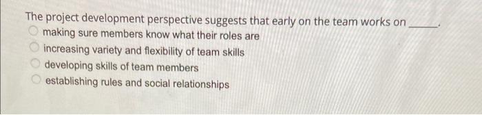 The project development perspective suggests that