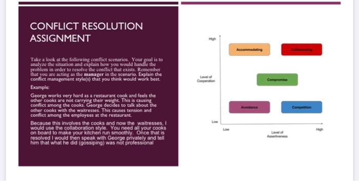 Conflict Resolution Assignment Instructions are