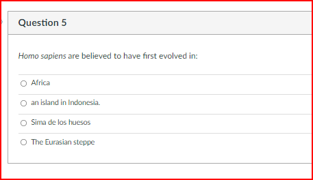 Please help me solve these multi questions, as