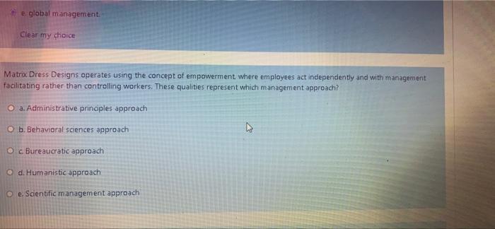 e global management. Clear my choice Matrix Dress