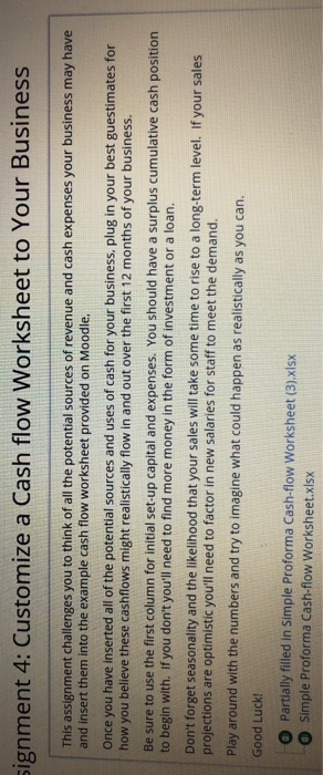 signment 4: Customize a Cash flow Worksheet to