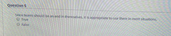 Question 5 Since teams should be an end in