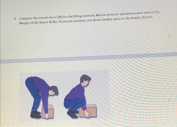 4. Compute the muscle force (lb) for the lifting