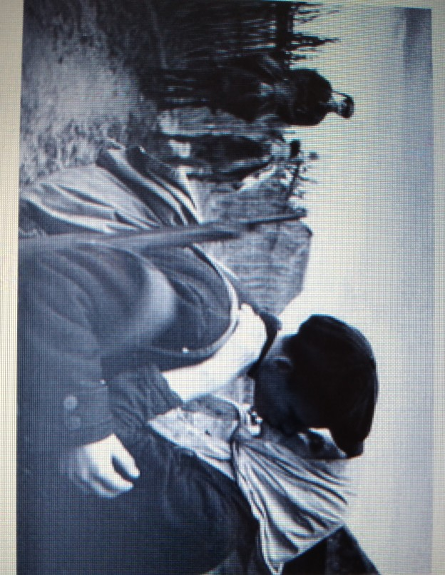 What does Rosen David mean by the statement "the