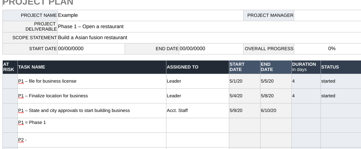 Please, Like example below, we need project plan