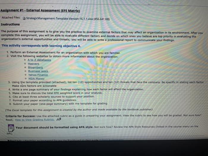 Assignment #1 - External Assessment (EFE Matrix)