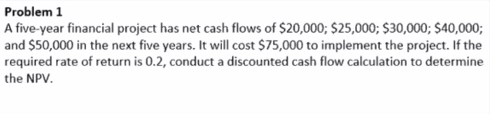 Problem 1 A five-year financial project has net