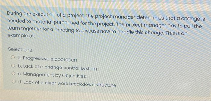 During the execution of a project, the project