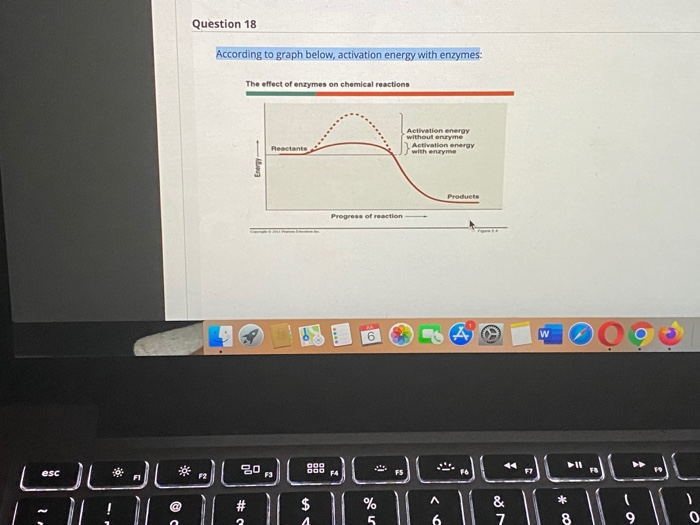 5. the answer is incorrect 8. the answer is