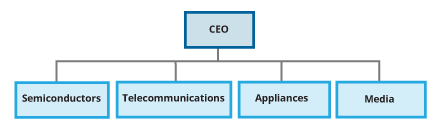 Which of the following forms of organization