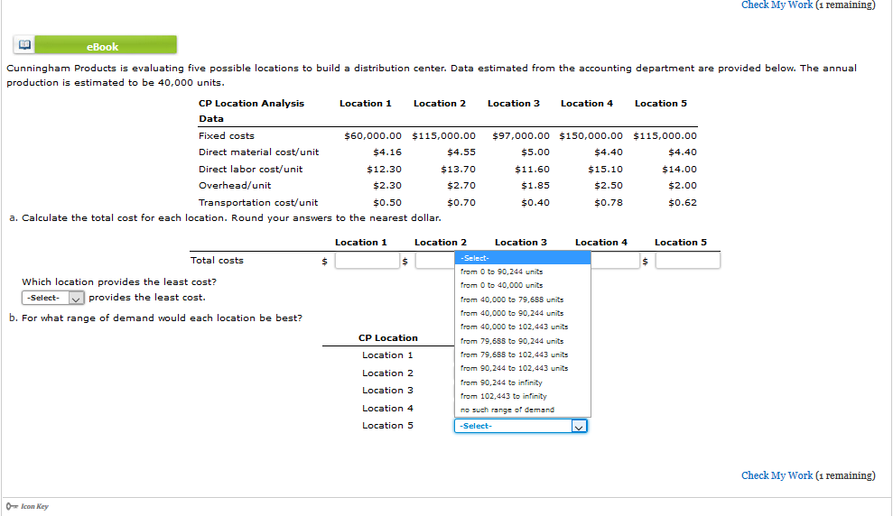 check My Work (1 remaining) eBook Cunningham