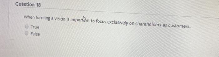 Question 18 When forming a vision is important to