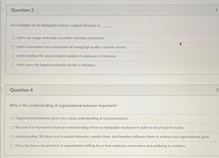 Question 3 N 2 An example of an intangible human