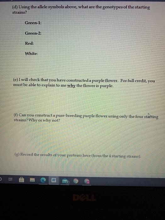 Aipotu 1 Genetics Lab Write up Put your data in