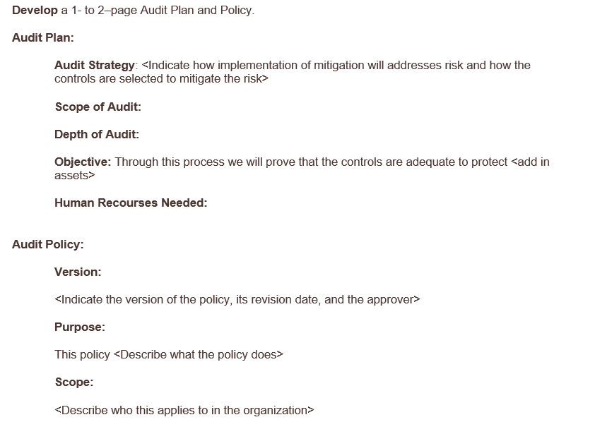 Develop a 1- to 2-page Audit Plan and Policy.