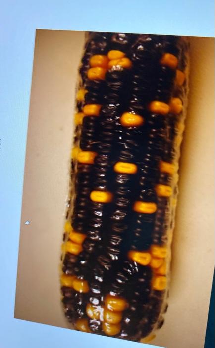 Please explain Create a table using any software