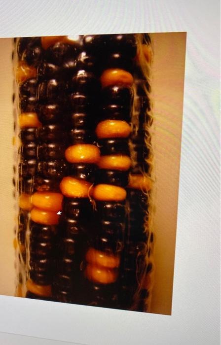 Please explain Create a table using any software