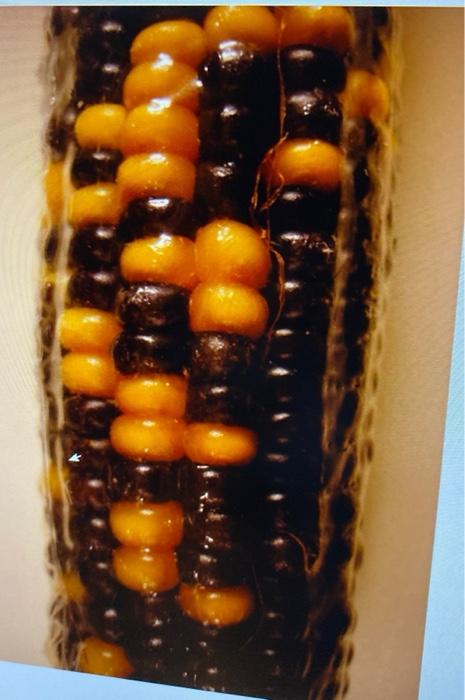 Please explain Create a table using any software