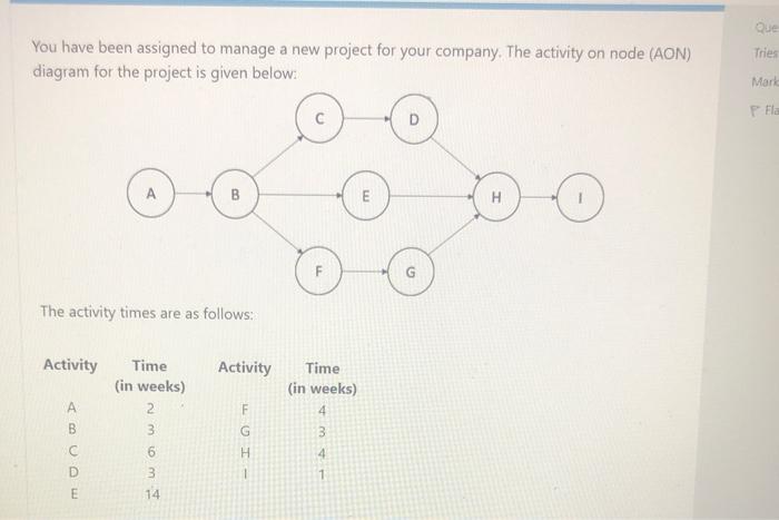 You have been assigned to manage a new project