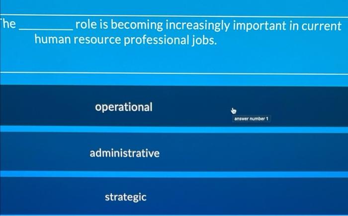 "he role is becoming increasingly important in