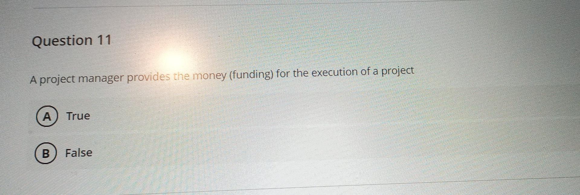 Question 11 A project manager provides the money