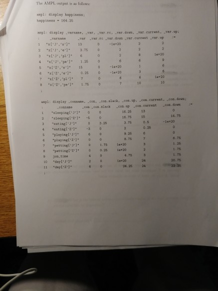 AMPL Output SECTION 553 #4 ' espiter and try to