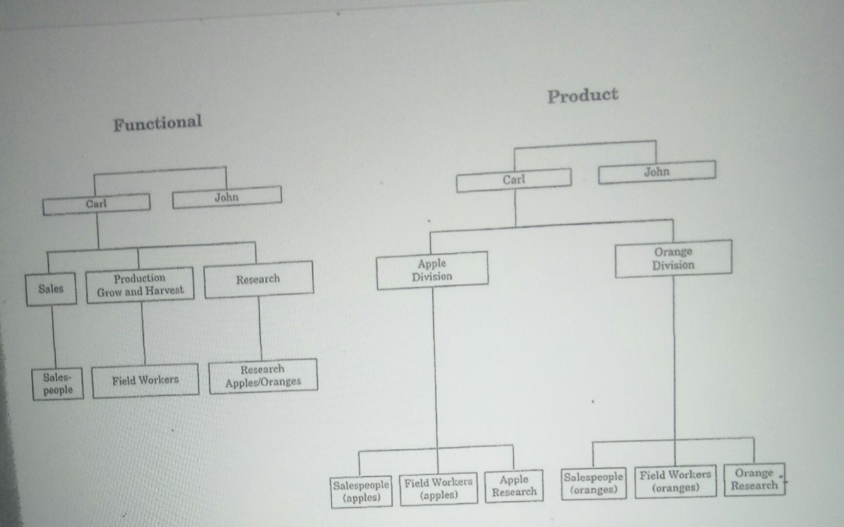 What is your best choice of structure Functional