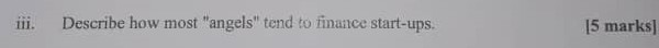 iii. Describe how most "angels" tend to finance