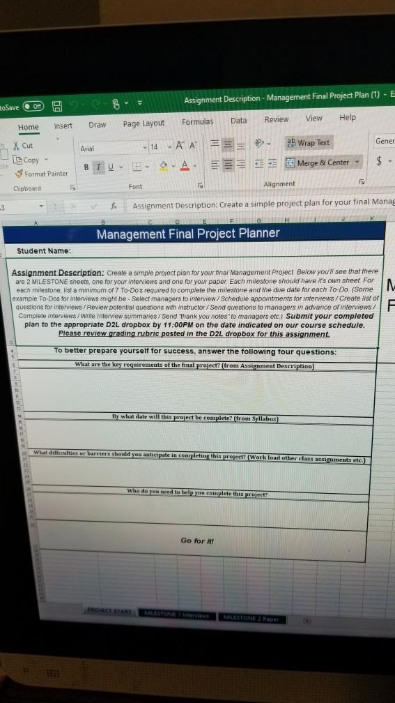 a Assignment Description - Management Final