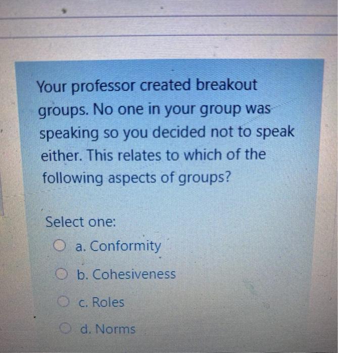 Your professor created breakout groups. No one in