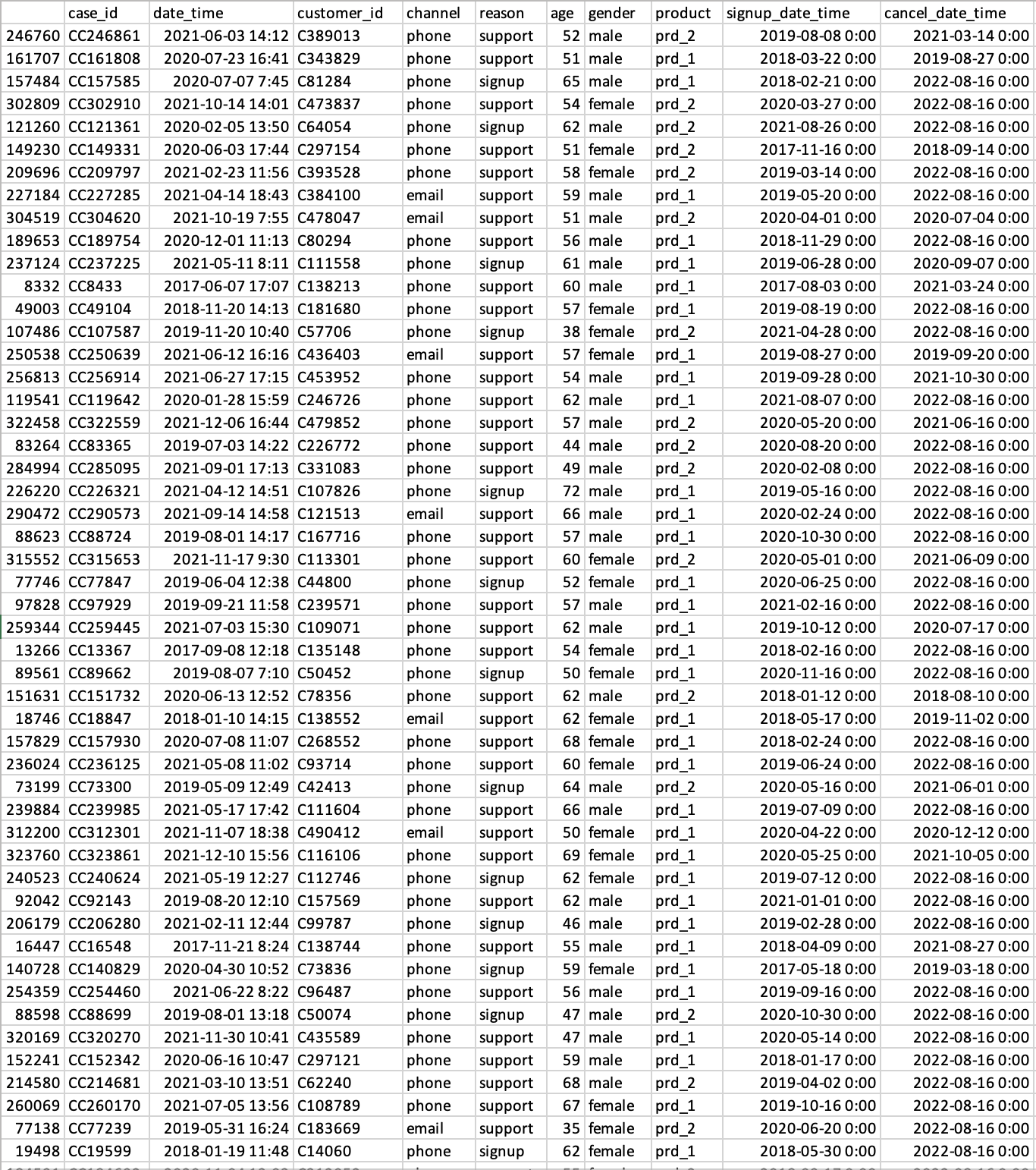 The excel file customer data set includes