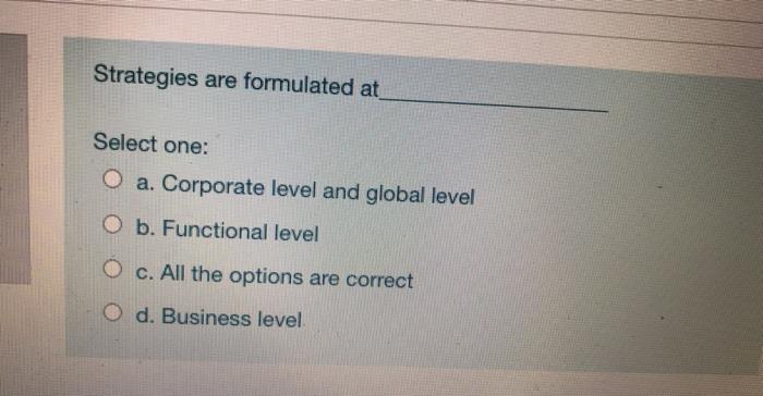 Strategies are formulated at Select one: O a.