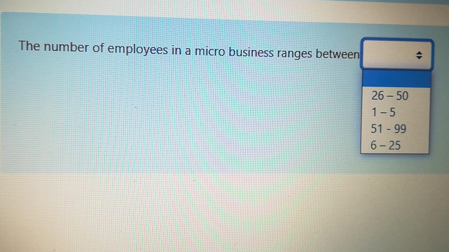 The number of employees in a micro business