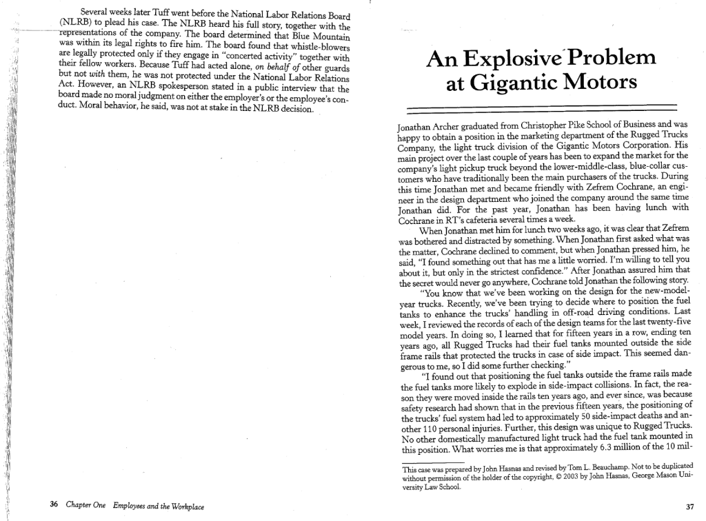 case study analysis required 5-6 pages long lion