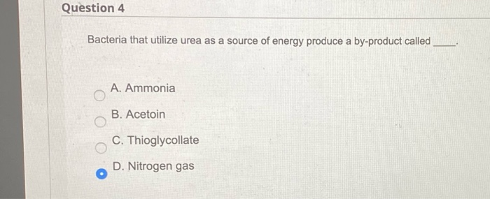 4. the answer is incorrect. 5. the answer is