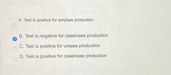 4. the answer is incorrect. 5. the answer is